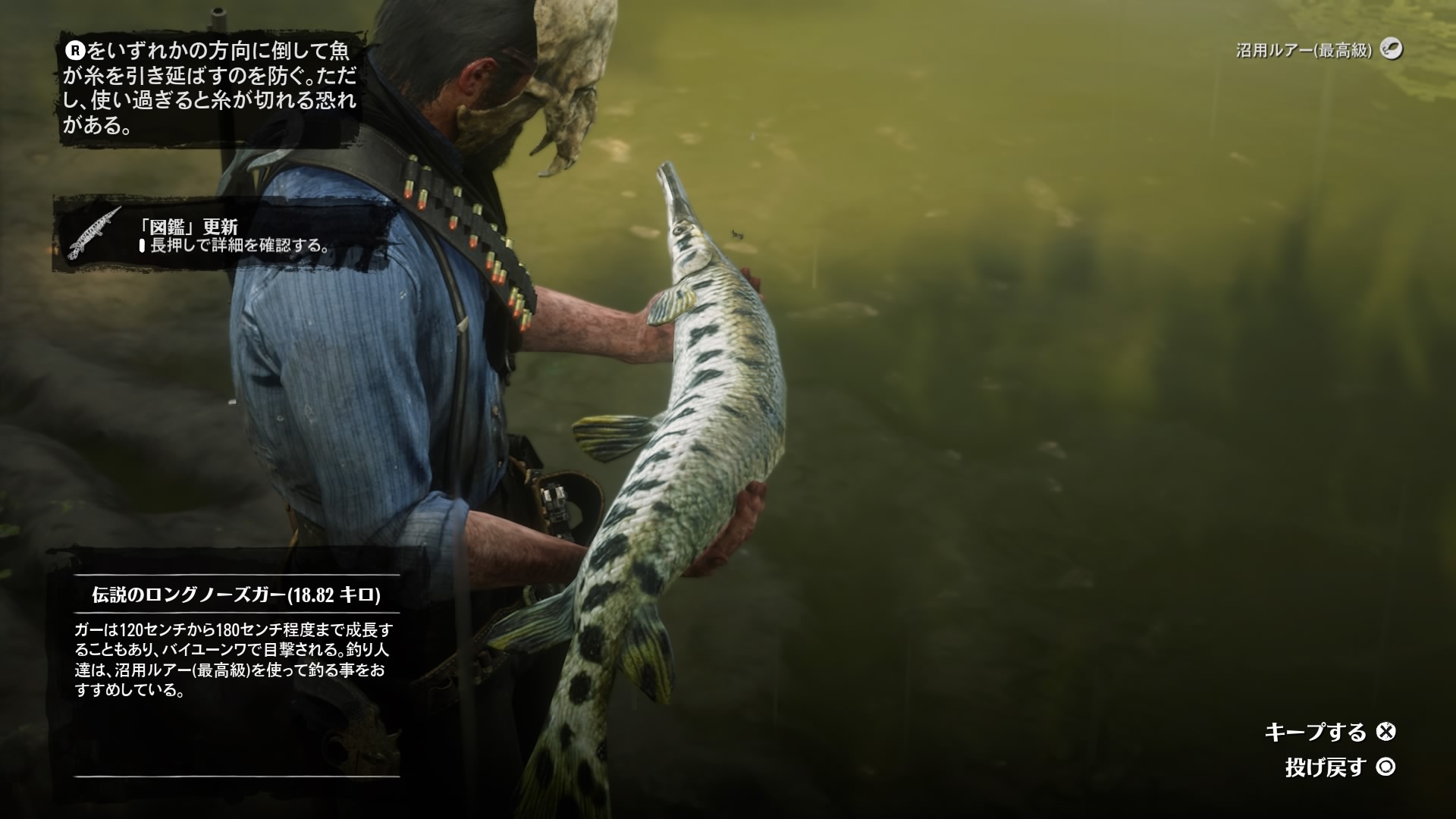 Legendary Longnose Gar - RED DEAD REDEMPTION 2 情報&攻略@ wiki